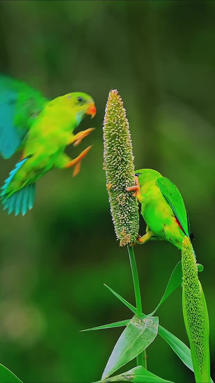 A bird and animal encounter in the forest