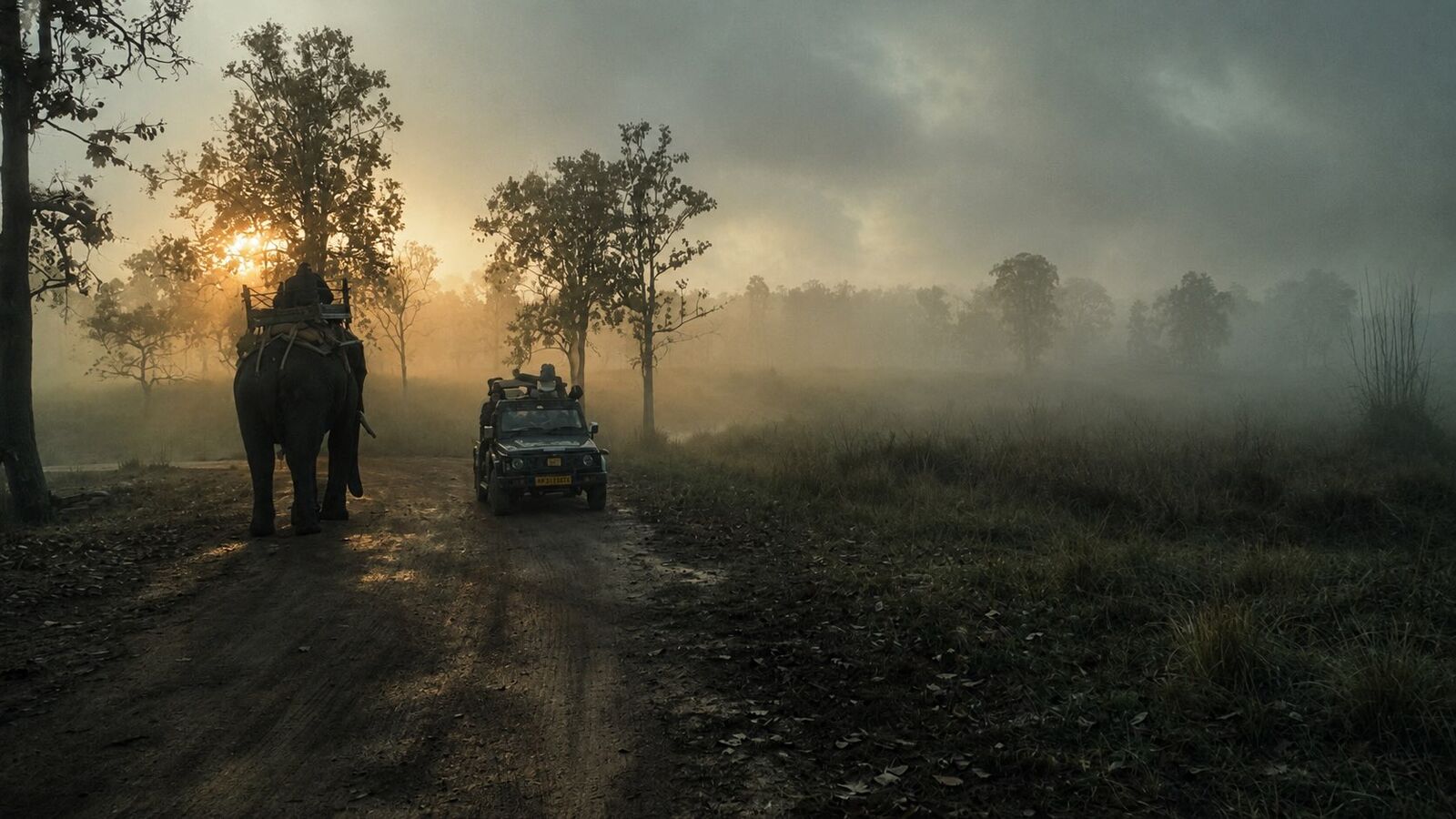Elephant and safari jeep on a misty morning in Kanha
